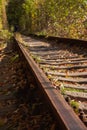 Famous landscape called Tunnel of Love, Ukraine. Railway with natural tunnel in autumn. Magical autumn landscape. Royalty Free Stock Photo