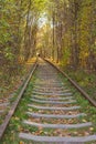 Famous landscape called Tunnel of Love, Ukraine. Railway with natural tunnel in autumn. Magical autumn landscape. Royalty Free Stock Photo