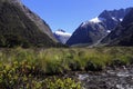 Famous landscape ,fiordland national park