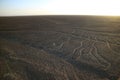 The famous large ancient geoglyphs Nazca lines called Arbol tree in evening sunlight, view from observation tower at Nazca, Peru