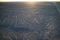 The famous large ancient geoglyphs Nazca lines called Arbol tree, view from observation tower in Nazca desert