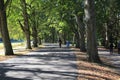 Famous Lichtentaler Allee, with cycle path, stream Oos and strollers in Baden-Baden