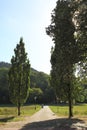 Famous Lichtentaler Allee, with cycle path, stream Oos and strollers in Baden-Baden