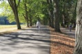 Famous Lichtentaler Allee, with cycle path, stream Oos and strollers in Baden-Baden