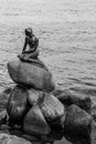 Famous little mermaid statue Den lille Havfrue of Copenhagen, Denmark. Royalty Free Stock Photo