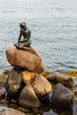 Famous little mermaid statueDen lille Havfrue of Copenhagen, Denmark. Royalty Free Stock Photo