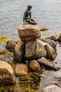 Famous little mermaid statueDen lille Havfrue of Copenhagen, Denmark. Royalty Free Stock Photo