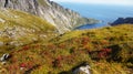 Famous Lofoten, Norway Landscape, Nordland Royalty Free Stock Photo