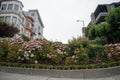 Famous Lombard street. San Francisco, California, USA Royalty Free Stock Photo