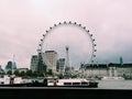 the famous london eye