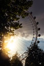 The famous London Eye at sunset - London, UK Royalty Free Stock Photo