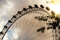 The famous London Eye at sunset - London, UK Royalty Free Stock Photo