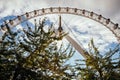 Famous London Eye in London, UK