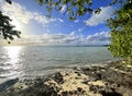 The Famous Lone Tree framed from Shore Landscape