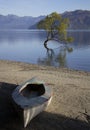 Famous lonely Willow tree in Lake Wanaka, New Zealand