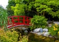 The famous lotus garden in the Franconian town of Rothenburg ob der Tauber