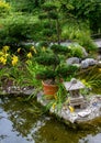 The famous lotus garden in the Franconian town of Rothenburg ob der Tauber