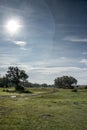 Famous and majestuous Mexican archaeological site