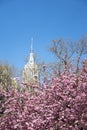 Empire state building with floral trees in forground