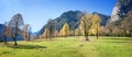 famous maple ground in karwendel mountains with old trees in autumn Royalty Free Stock Photo