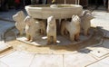 Fountain of the Courtyard of Lions (Patio de los Leones). Alhambra in Granada, AndalusiaSpain