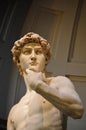David by Michaelangelo Royalty Free Stock Photo