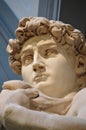 David by Michaelangelo Royalty Free Stock Photo