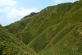 Famous Matcha Green Tea Mountain, Shengmu Hiking Trail Marian Hiking Trail, Jiaoxi, Yilan Royalty Free Stock Photo