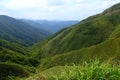 Famous Matcha Green Tea Mountain, Shengmu Hiking Trail Marian Hiking Trail, Jiaoxi, Yilan Royalty Free Stock Photo