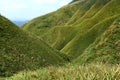 Famous Matcha Green Tea Mountain, Shengmu Hiking Trail Marian Hiking Trail, Jiaoxi, Yilan Royalty Free Stock Photo