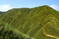 Famous Matcha Green Tea Mountain, Shengmu Hiking Trail Marian Hiking Trail, Jiaoxi, Yilan Royalty Free Stock Photo