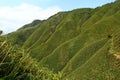 Famous Matcha Green Tea Mountain, Shengmu Hiking Trail Marian Hiking Trail, Jiaoxi, Yilan Royalty Free Stock Photo