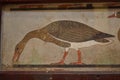 The Famous Meidum Geese Painting at the Egyptian Museum