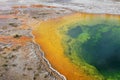The famous Morning Glory Pool in Yellowstone National Park, USA Royalty Free Stock Photo