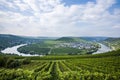 Famous Moselle river loop in Trittenheim, Germany