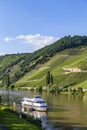 Famous Moselle Sinuosity in Trittenheim with cruise ship