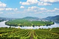 Famous Moselle Sinuosity with vineyards Royalty Free Stock Photo