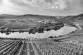 Famous Moselle Sinuosity with vineyards Royalty Free Stock Photo