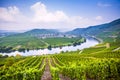 Famous Moselle Sinuosity with vineyards