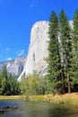 The famous mountain El Capitan, the nose in the Yosemite National Park, California, USA Royalty Free Stock Photo