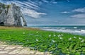 Famous natural cliffs in Etretat. Etretat is a commune in Seine-