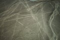 The famous Nazca Lines in Peru, here you can see the figure of a parrot.