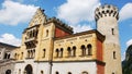 Famous Neuschwanstein Castle. Bavaria, Germany Royalty Free Stock Photo