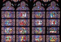 Famous Notre Dame cathedral stained glass