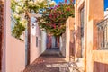 Famous Oia village narrow street with white houses and bougainvillea flowers. Santorini island, Greece