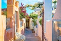 Famous Oia village narrow street with white houses and bougainvillea flowers. Santorini island, Greece