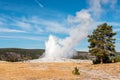 Famous Old Faithful geyser erupting, Yellowstone National Park Royalty Free Stock Photo