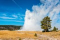 Famous Old Faithful geyser erupting, Yellowstone National Park Royalty Free Stock Photo