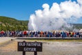 Famous Old Faithful Geyser in Yellowstone National Park, USA Royalty Free Stock Photo