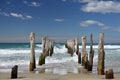 Old poles on St Clair beach in Dunedin Royalty Free Stock Photo